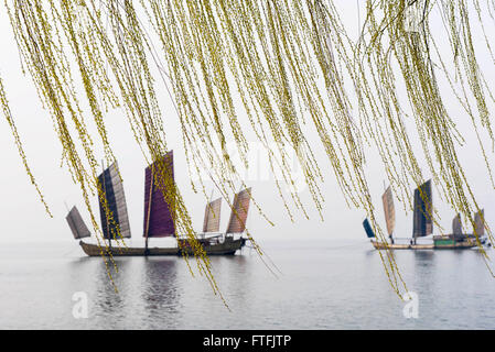 Wuxi, cinese della provincia di Jiangsu. 28 Mar, 2016. Barche a vela sul lago Taihu a Wuxi, Cina orientale della provincia di Jiangsu, 28 marzo 2016. © Pan Zhengguang/Xinhua/Alamy Live News Foto Stock