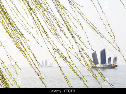 Wuxi, cinese della provincia di Jiangsu. 28 Mar, 2016. Barche a vela sul lago Taihu a Wuxi, Cina orientale della provincia di Jiangsu, 28 marzo 2016. © Pan Zhengguang/Xinhua/Alamy Live News Foto Stock