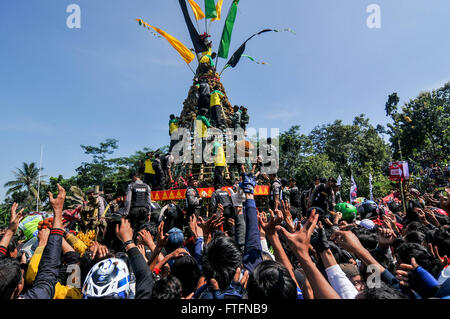 Jombang, Indonesia. 27 Mar, 2016. Alcune persone non piace il profumo e il sapore di durian, ma non in Asia, in particolare l'Indonesia, il re della frutta è attirato molte persone. In Jombang East Java Indonesia, vi è un festival chiamato 'kenduren Wonosalam' le persone sono disposte a offuscare questo frutto. Il festival si svolge ogni anno, lo scorso anno la frutta viene gettato in aria e la folla ha tentato di prenderlo e poi mangiato insieme Credito: Luhur Wijaya/Pacific Press/Alamy Live News Foto Stock