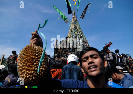 Jombang, Indonesia. 27 Mar, 2016. Un uomo con un durian catturato in un festival chiamato 'kenduren Wonosalam'. In questo festival vi è un interessante vista quando un durian gettato in aria e decine di persone a scrambling di cattura lui? Questo spettacolo unico può essere visto ogni anno nel villaggio chiamato Wonosalam, Jombang, East Java, Indonesia, durante il festival. Coloro che cattura l'durian ha il diritto di mangiare sul posto o di portarlo a casa da condividere con la famiglia. Credito: Luhur Wijaya/Pacific Press/Alamy Live News Foto Stock