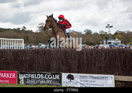 Eyton-on-Severn nello Shropshire, Regno Unito. 28 marzo, 2016. "Bermuda Boy' cavalcato da Lauren Poulton, nel Ladies Open Race alla Pasqua Bank Holiday gare. Foto Stock