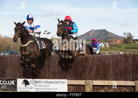 Eyton-on-Severn nello Shropshire, Regno Unito. 28 marzo, 2016. 'Spoilt Sam' e 'Whistlejack' concorso aperto la gara inaugurale presso la banca di Pasqua Holiday gare. Il Wrekin hill in background. Foto Stock