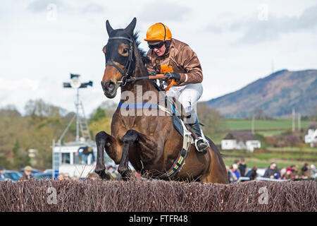 Eyton-on-Severn nello Shropshire, Regno Unito. 28 marzo, 2016. "Flembrandt' in esecuzione in aperta gara inaugurale presso la banca di Pasqua vacanza da punto a punto le gare. Foto Stock