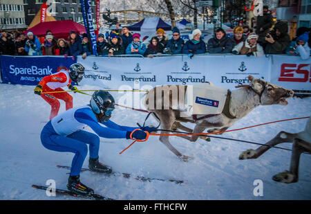 Tromso renne racing 2016 Foto Stock