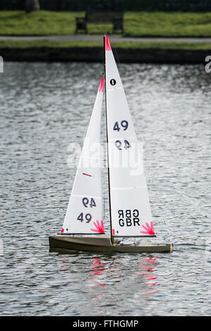 Un modello di yacht da regata della vela sul lago Trenance in Newquay, Cornwall. Foto Stock