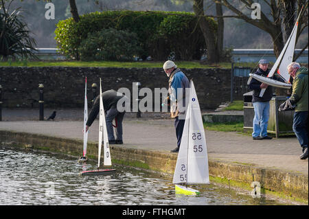 Membri del modello di newquay Yacht Club preparare per lanciare il loro modello di imbarcazioni a vela sul lago Trenance in Newquay, Cornwall. Foto Stock