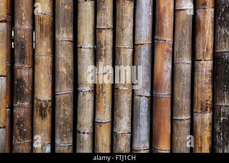 A canne di bambù appesi al soffitto a strutture da esterno Foto stock -  Alamy