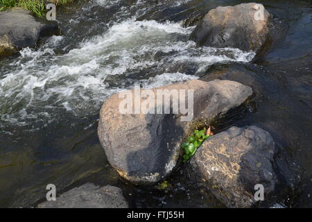 Da fiume Nhim in Vietnam con il fiume nei pressi di montagna e la foresta tropicale nella stagione secca con rock sul letto del fiume Foto Stock