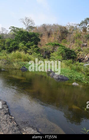 Da fiume Nhim in Vietnam con il fiume nei pressi di montagna e la foresta tropicale nella stagione secca con rock sul letto del fiume Foto Stock