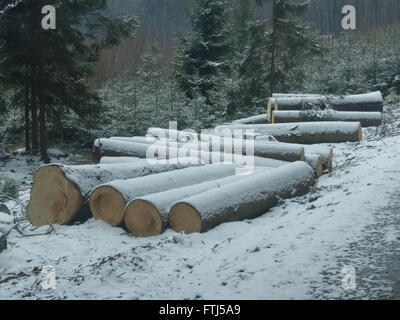 Raccolta dei registri di abete giaceva sul lato della strada da prelevare Foto Stock