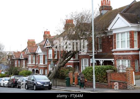 Un albero caduto si appoggia contro una casa in Brighton dopo tempesta Katie ha colpito la Gran Bretagna per tutta la notte. Marzo 28, 2016. James Boardman / Immagini teleobiettivo +44 7967 642437 Foto Stock