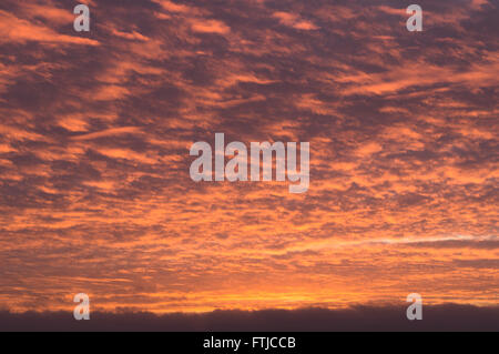 Cielo di tramonto coperti da Fiery nuvole arancione Foto Stock