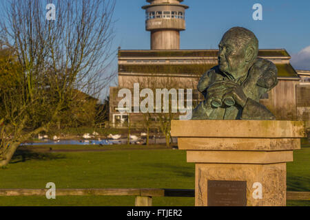 Sir Peter Scott scultura a Slimbridge Foto Stock