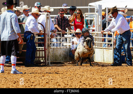 Bambino a cavallo sul retro di una pecora, prendendo parte a 'Mutton Bustin'' concorrenza , un bambino la versione di strappi bronco, a Foto Stock