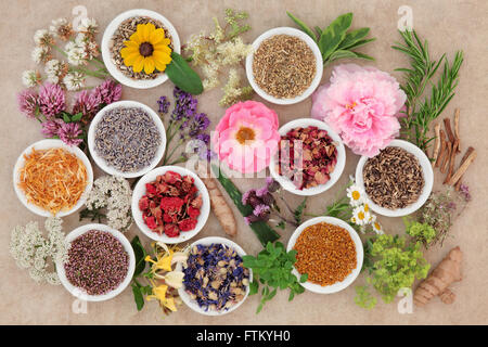 La guarigione di erbe e di selezione di fiori utilizzati in medicina di erbe oltre a mano la canapa sfondo della carta. Foto Stock