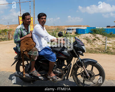 Due indiani che trasportano un vitello su una motocicletta lungo la National Highway 45, Tindivanam, Viluppuram Foto Stock