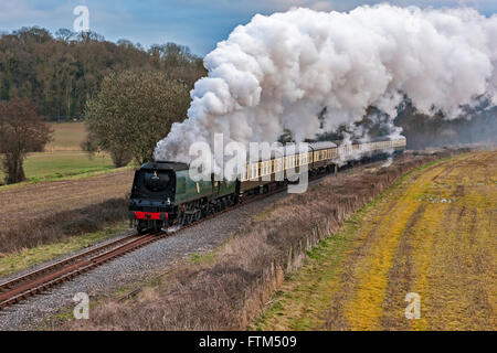 West Somerset Railway Gala a molla Foto Stock