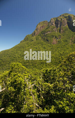 Foresta atlantica nel picco Palumbo del Parco Statale della Serra do Mar Foto Stock