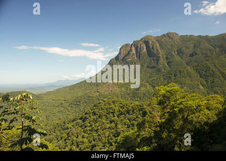 Foresta atlantica nel picco Palumbo del Parco Statale della Serra do Mar Foto Stock