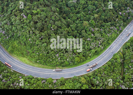 Vista aerea del BR-277 Autostrada foresta di taglio foresta di pioggia Foto Stock