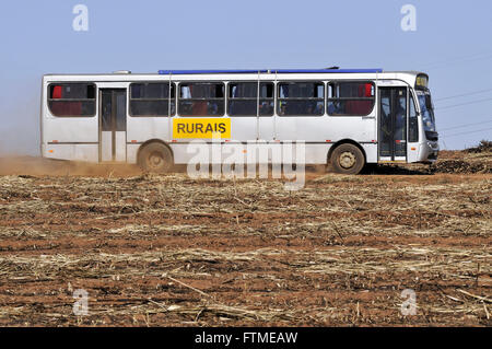 Il bus che trasportano i lavoratori agricoli in campi di canna da zucchero dopo il raccolto Foto Stock