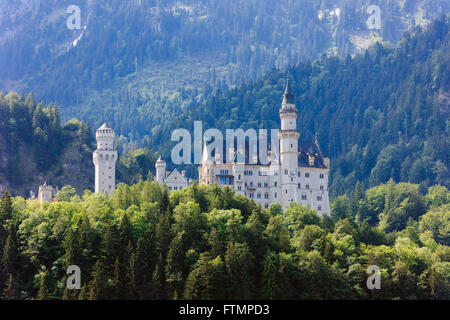 Vista di Schloss castello Neuschwanstein in boscose delle Alpi Bavaresi. Schwangau, Allgaeu, Fussen, Baviera, Germania, Europa. Foto Stock