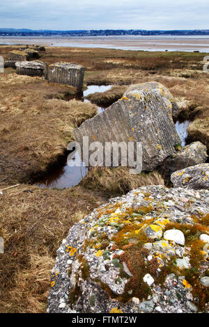 Old World War II difese a Tayport Heath Tentsmuir Riserva Naturale Nazionale Tayport Fife Scozia Scotland Foto Stock