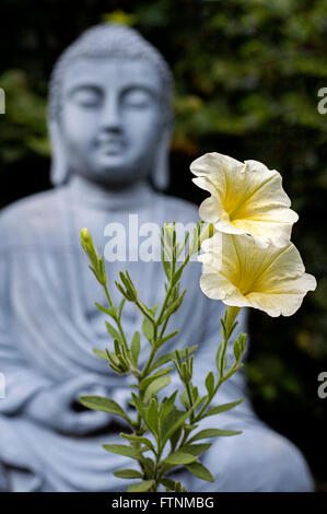 Fiori gialli con la statua del Buddha sfocati in background Foto Stock