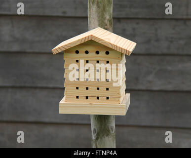 Un nuovo legno Casa di insetti dotati di un post. Foto Stock