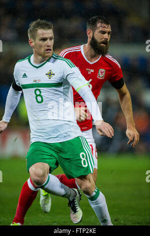 24 marzo 2016,Steven Davis (8) dell'Irlanda del Nord   Joe Ledley (16) del Galles durante la International amichevole tra Foto Stock