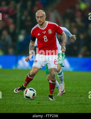 24 marzo 2016, David Cotterill del Galles durante International amichevole tra il Galles e l'Irlanda del Nord a Cardiff Cit Foto Stock