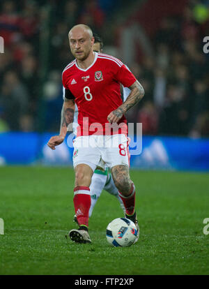 24 marzo 2016, David Cotterill del Galles durante International amichevole tra il Galles e l'Irlanda del Nord a Cardiff Cit Foto Stock