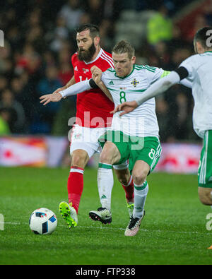 24 marzo 2016,Steven Davis (8) dell'Irlanda del Nord   Joe Ledley (16) del Galles durante la International amichevole tra Foto Stock