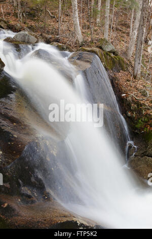 Cascata lungo Clough miniera Brook, un affluente del fiume perso, in stretto parente tacca di Woodstock, New Hampshire USA. Foto Stock