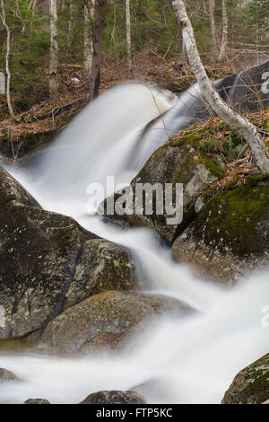 Cascata lungo Clough miniera Brook, un affluente del fiume perso, in stretto parente tacca di Woodstock, New Hampshire USA. Foto Stock