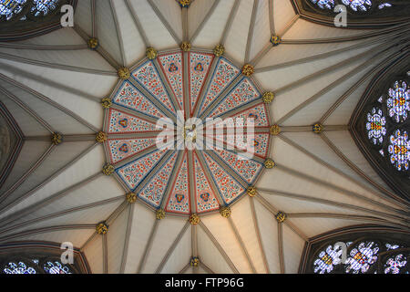Il soffitto a volta del tetto della casa del Capitolo,, York Minster e York, Inghilterra. Foto Stock