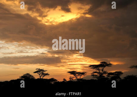 Alba sotto il cielo tempestoso, Ngorongoro Conservation Area, Tanzania Foto Stock