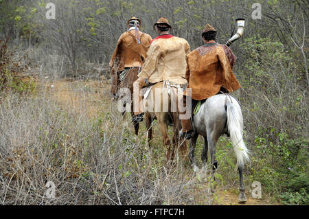 Cowboy guardando la Gazza Ox - fa parte degli eventi della vigilia di Natale la Messa Foto Stock