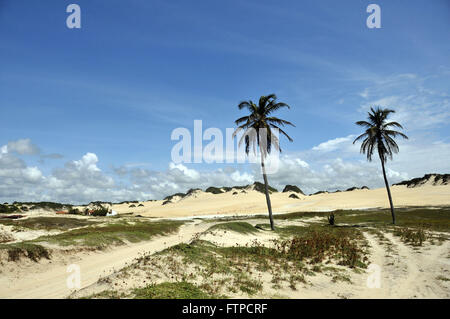 Dune di Genipabu - Polo costa Dune Foto Stock