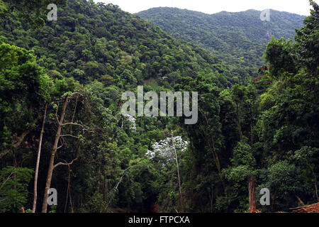 Tijuca Forest National Park in alto da Boa Vista Foto Stock