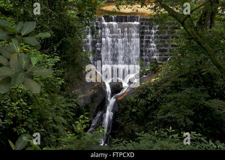 Seghetto alternativo a cascata nella foresta di Tijuca National Park - Alto da Boa Vista Foto Stock