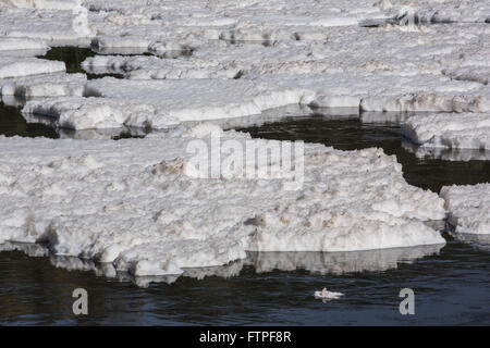 Tiete Fiume inquinato da un eccesso di rifiuti gettati in acqua - sapone e detergente Foto Stock