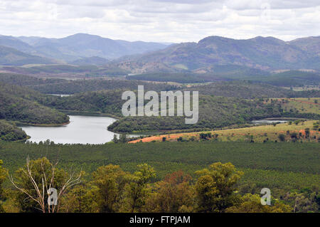 Piantagione di alberi di eucalipto che circonda il Rio Doce parco dello stato con enfasi sul Rio Doce Foto Stock