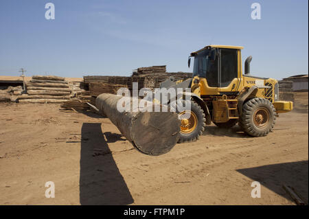 Il trasporto della macchina di registri nel patio in legno - legno certificato Foto Stock