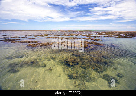 Piscine naturali formate sulle barriere coralline durante la bassa marea Foto Stock