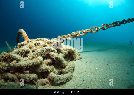 La den dove si nasconde e vive il cavalluccio marino Foto Stock