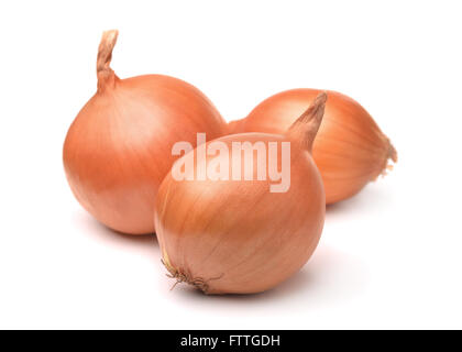 Tre lampadine di cipolla isolato su bianco Foto Stock