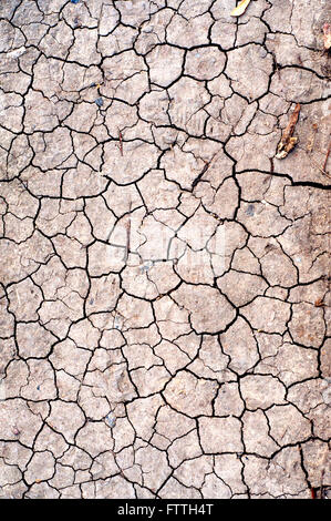 Asciutto terra incrinato Foto Stock