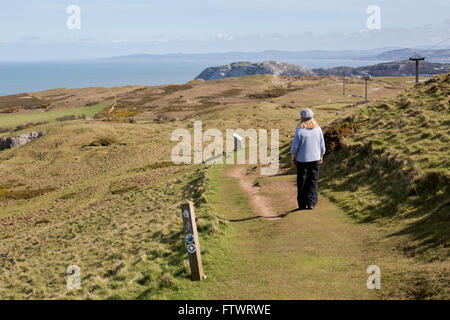 Great Orme sentiero natura itinerario a piedi, Llandudno, il Galles del Nord Foto Stock