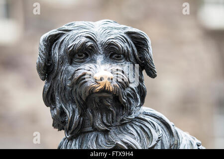 Una statua di Greyfriars Bobby a Edimburgo, Scozia. Bobby era un Skye Terrier che presumibilmente ha trascorso 14 anni custodisce la tomba Foto Stock